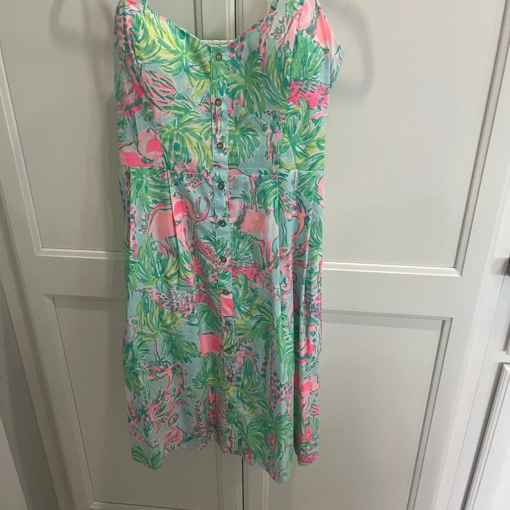 Lilly Pulitzer Easton Swing Dress - Picture 2 of 8